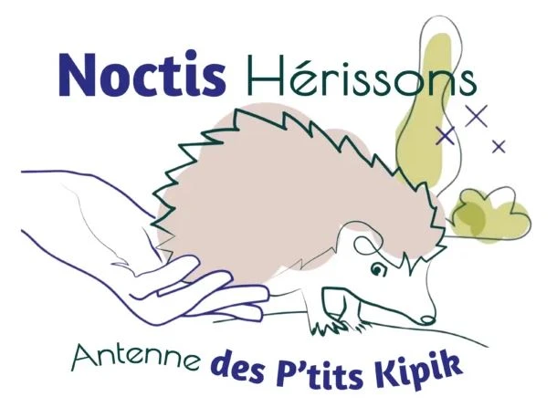 Logo Noctis Hérissons
